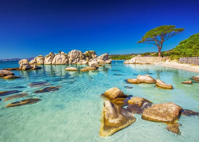 Résidence Standing Domaine D Arca Appartement Porto-Vecchio (Corsica)